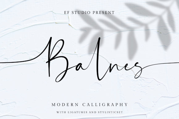 Discover Balnes: A Bold Script Font for Creative Designers
