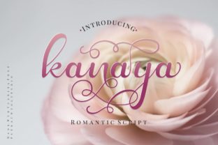 Kanaya: A Script Font for Crafting Beautiful, Readable Designs