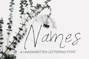 Names: A Versatile Script Handwritten Font for Modern Branding and Design