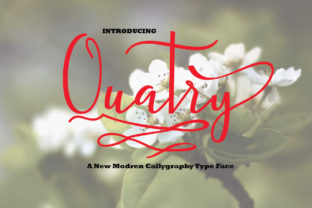 Quatry: A Delicate Script Font for Campaign Creativity